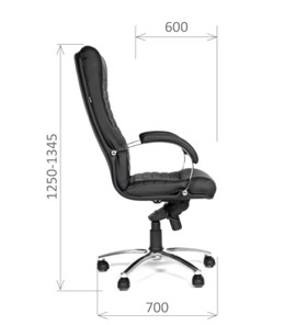 Офисное кресло CHAIRMAN 480 Экокожа премиум черная в Саратове - предосмотр 2
